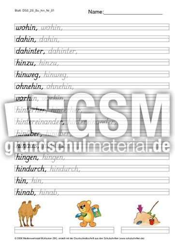 DSS_2S_Bu_hin_Nr_01.pdf